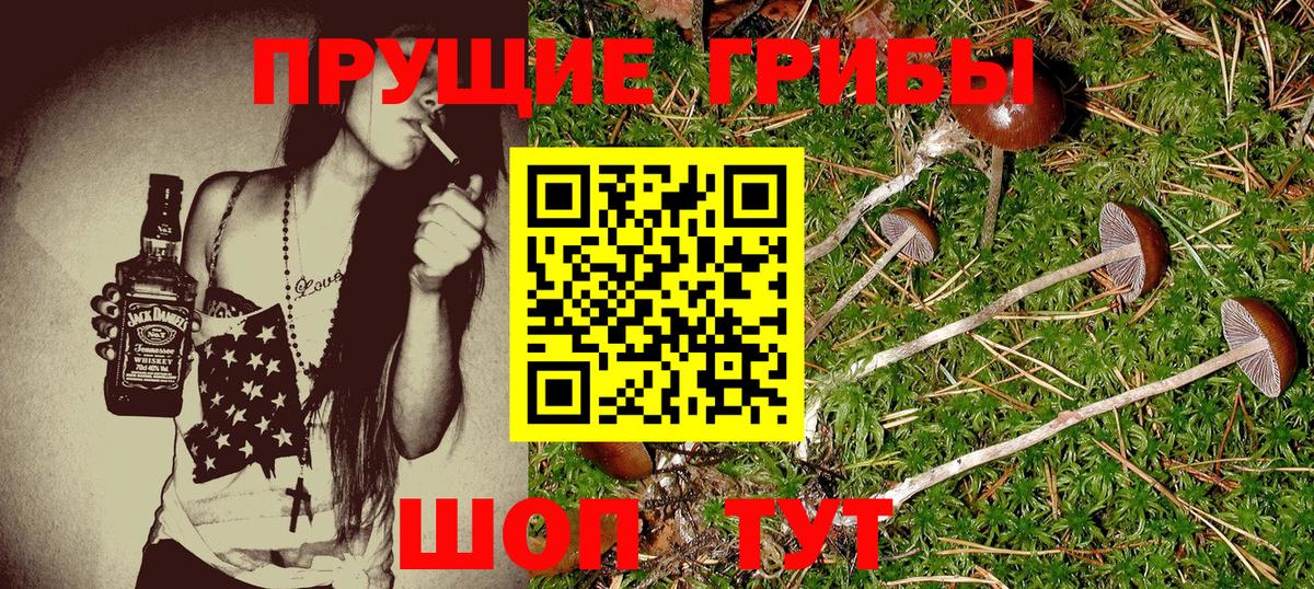 Майский  Псилоцибиновые грибы GOLDEN TEACHER  закладки  Вход с VPN 