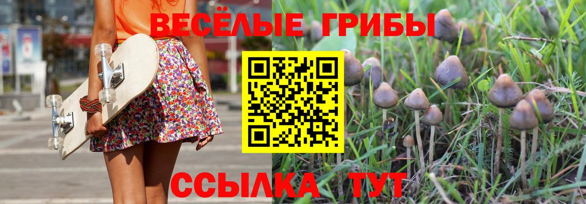 Галлюциногенные грибы мухоморы Майский